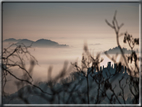 foto Colline di Romano d'Ezzelino nella Nebbia